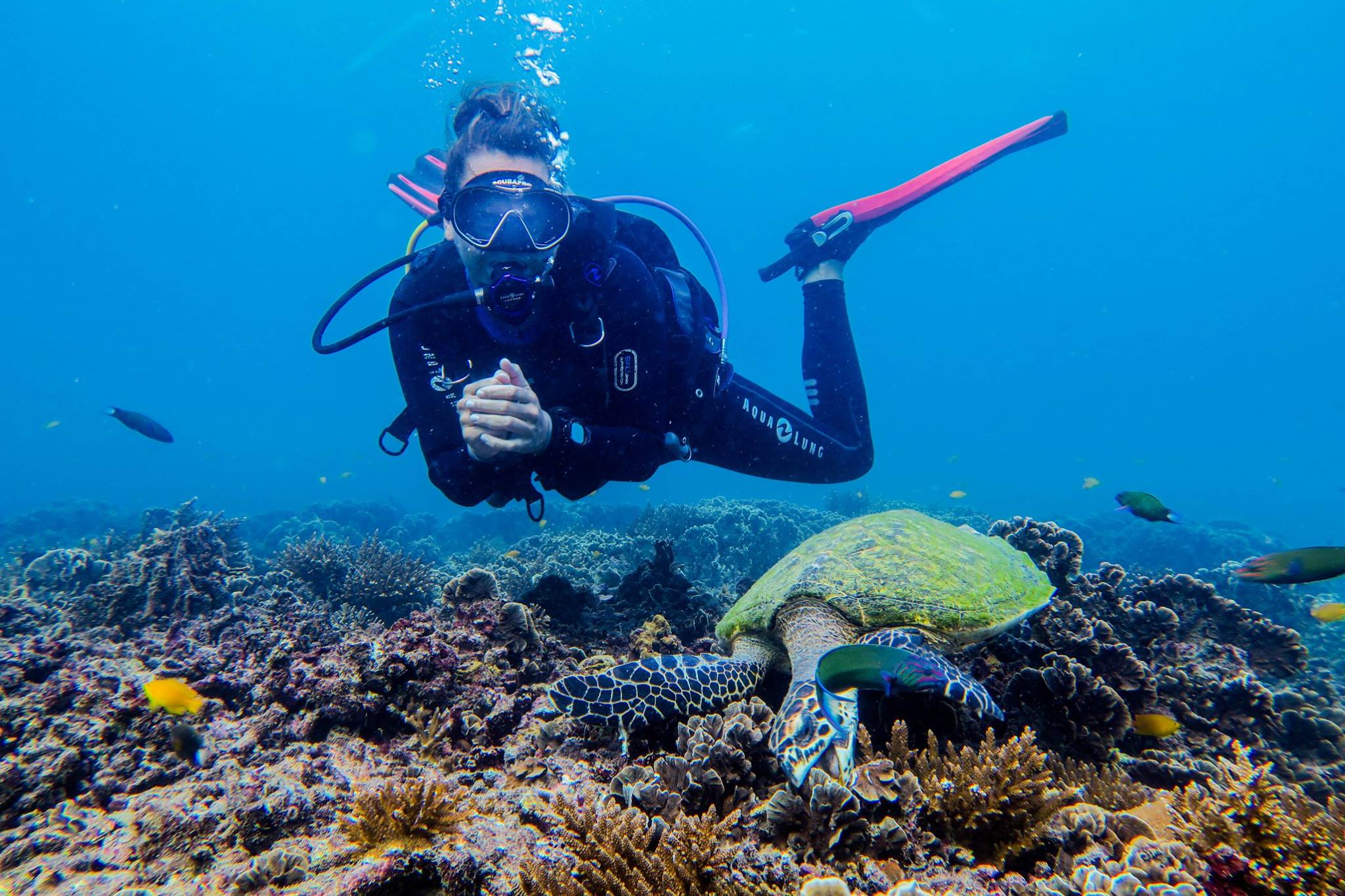 Diving Anouk Scuba diving guide